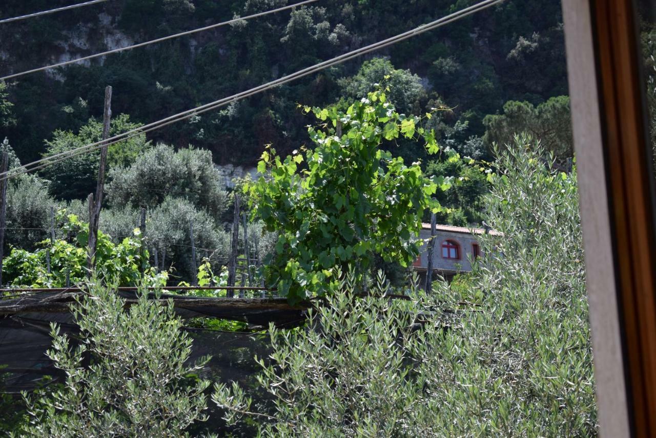 Sorrento Dolce Casa Leilighet Eksteriør bilde